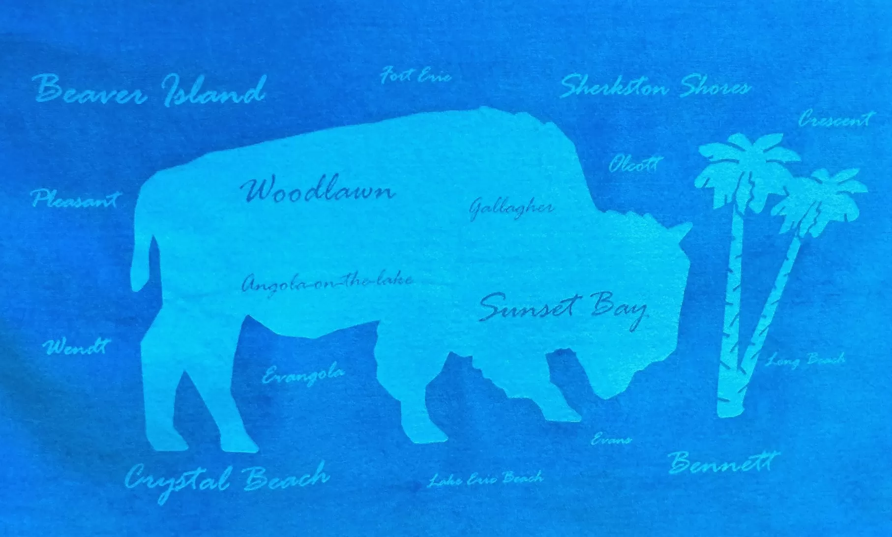 Buffalo Beaches Towel