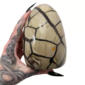 Septarian Dragon's Egg 6  *free shipping*